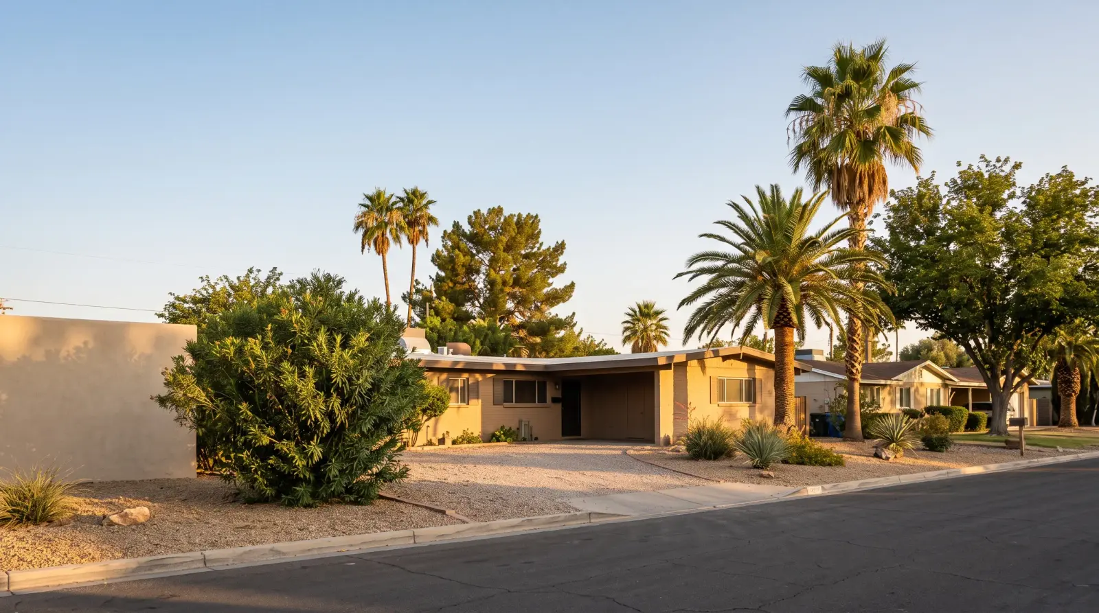 Single-story homes shaded by palm trees on a residential street in Paradise, Nevada